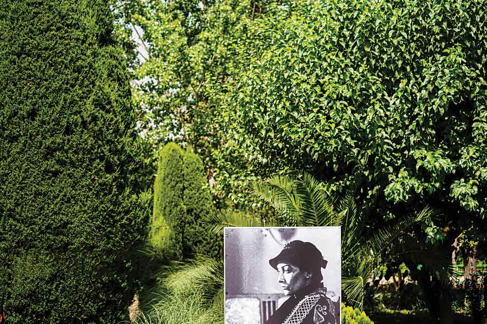 وداع با فریماه فرجامی