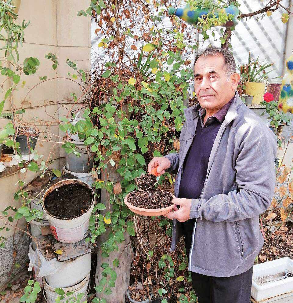 باغچه سحرآمیز