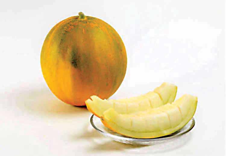 لیموطالبی ترش و شیرین