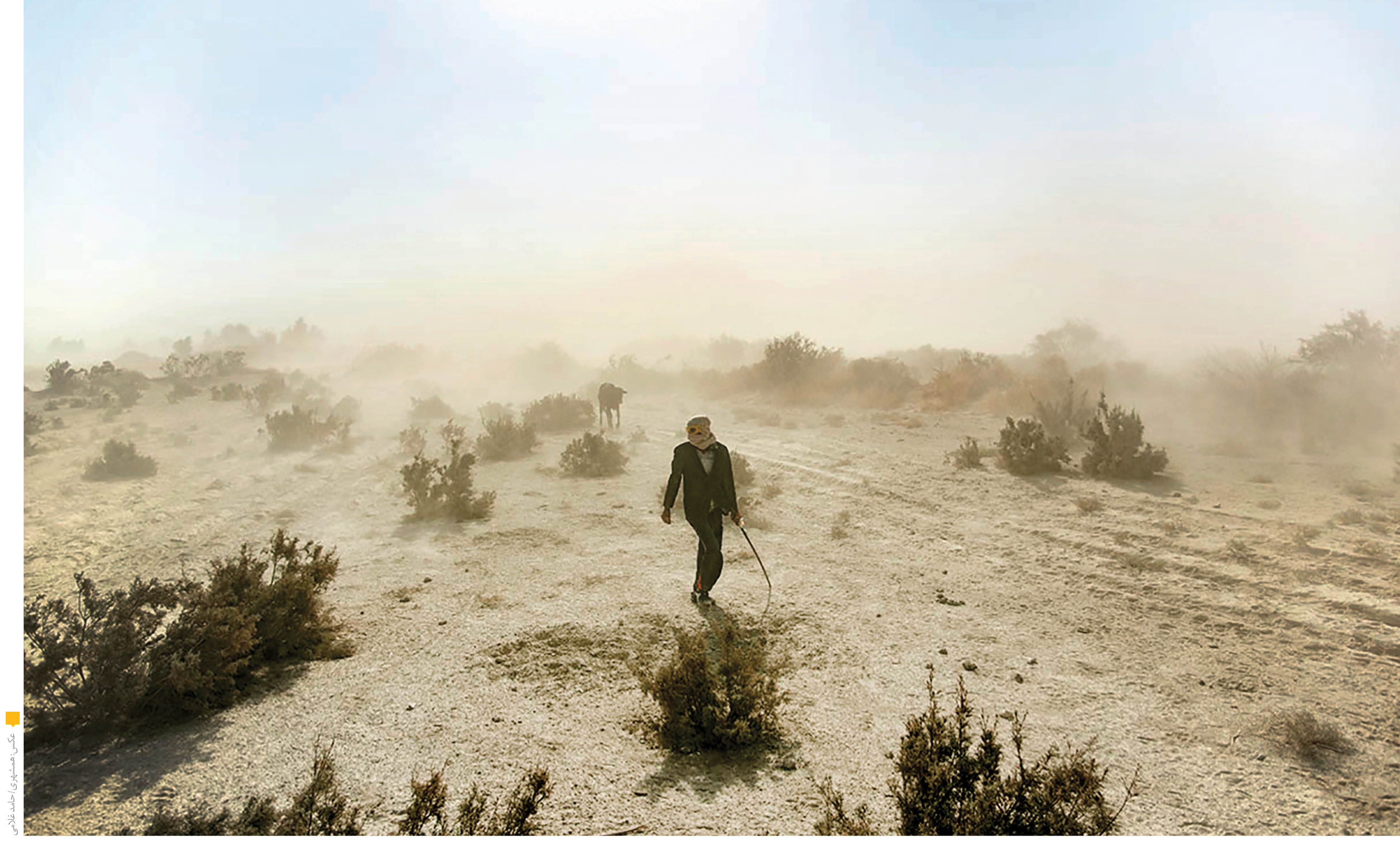 نسخه‌های فوری برای سیستان