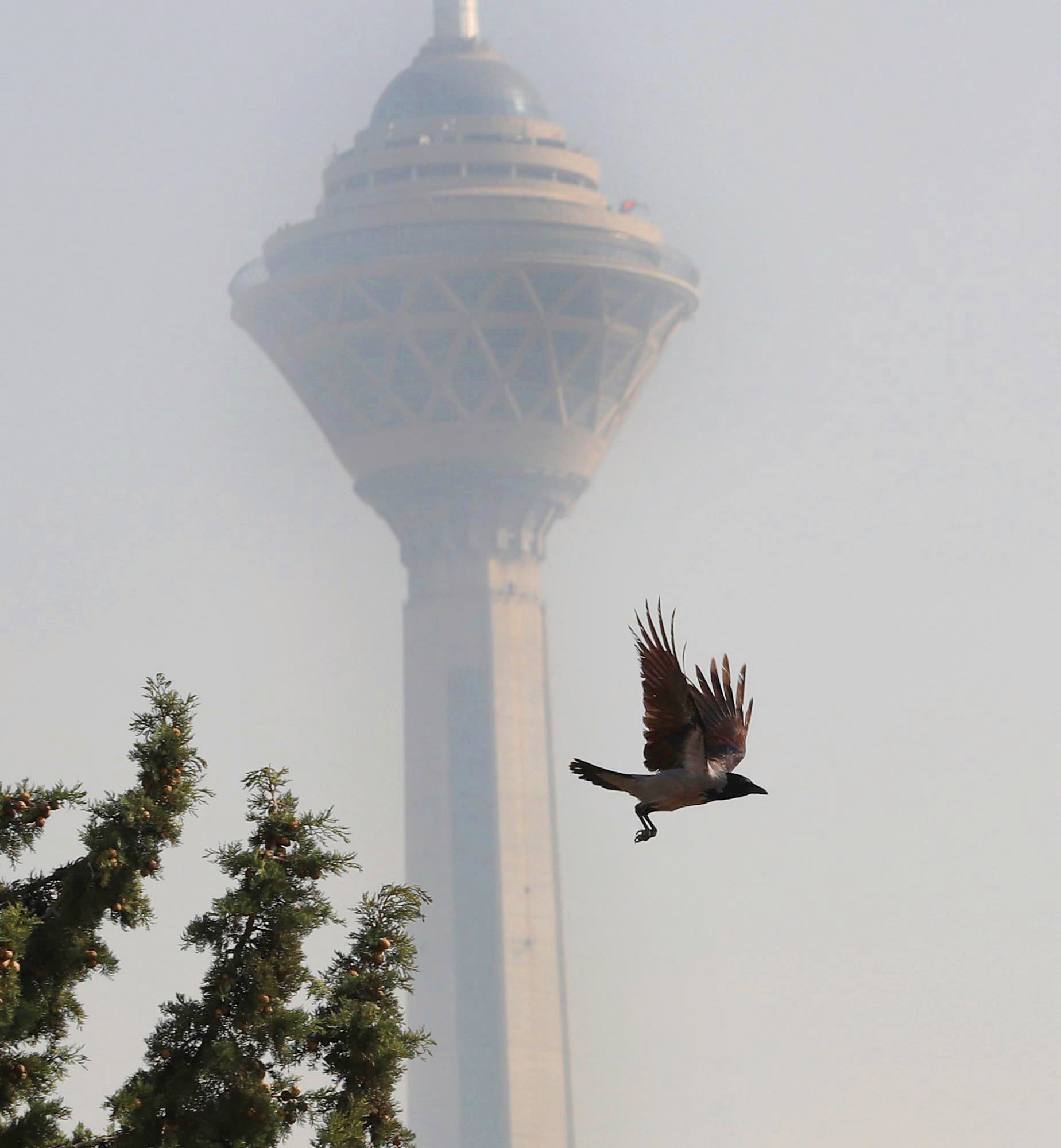 مشهورترین شایعات درباره آلودگی هوای تهران