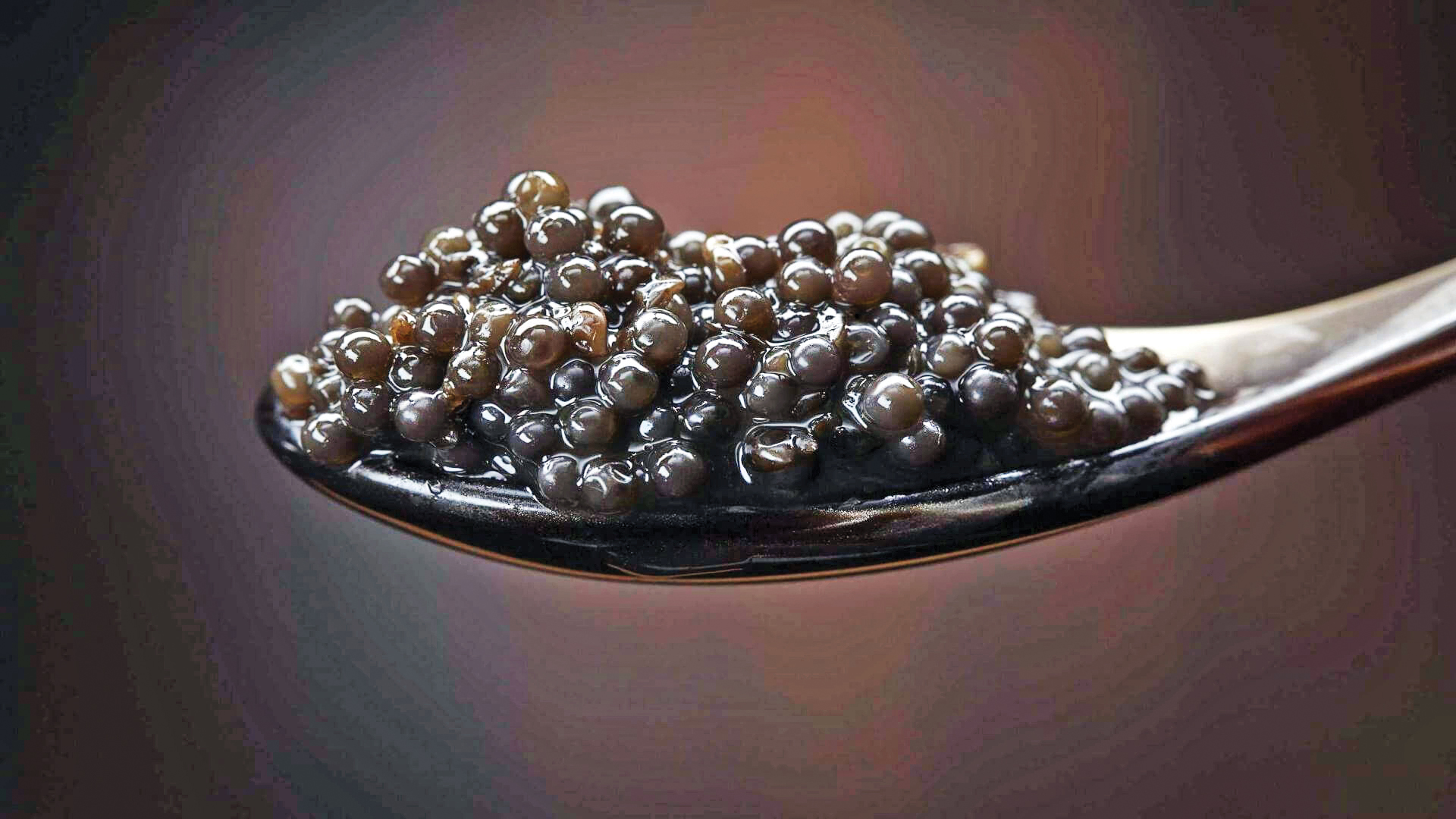 الماس سیاه کاسپین