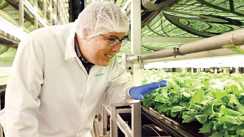 سقوط مزارع عمودی