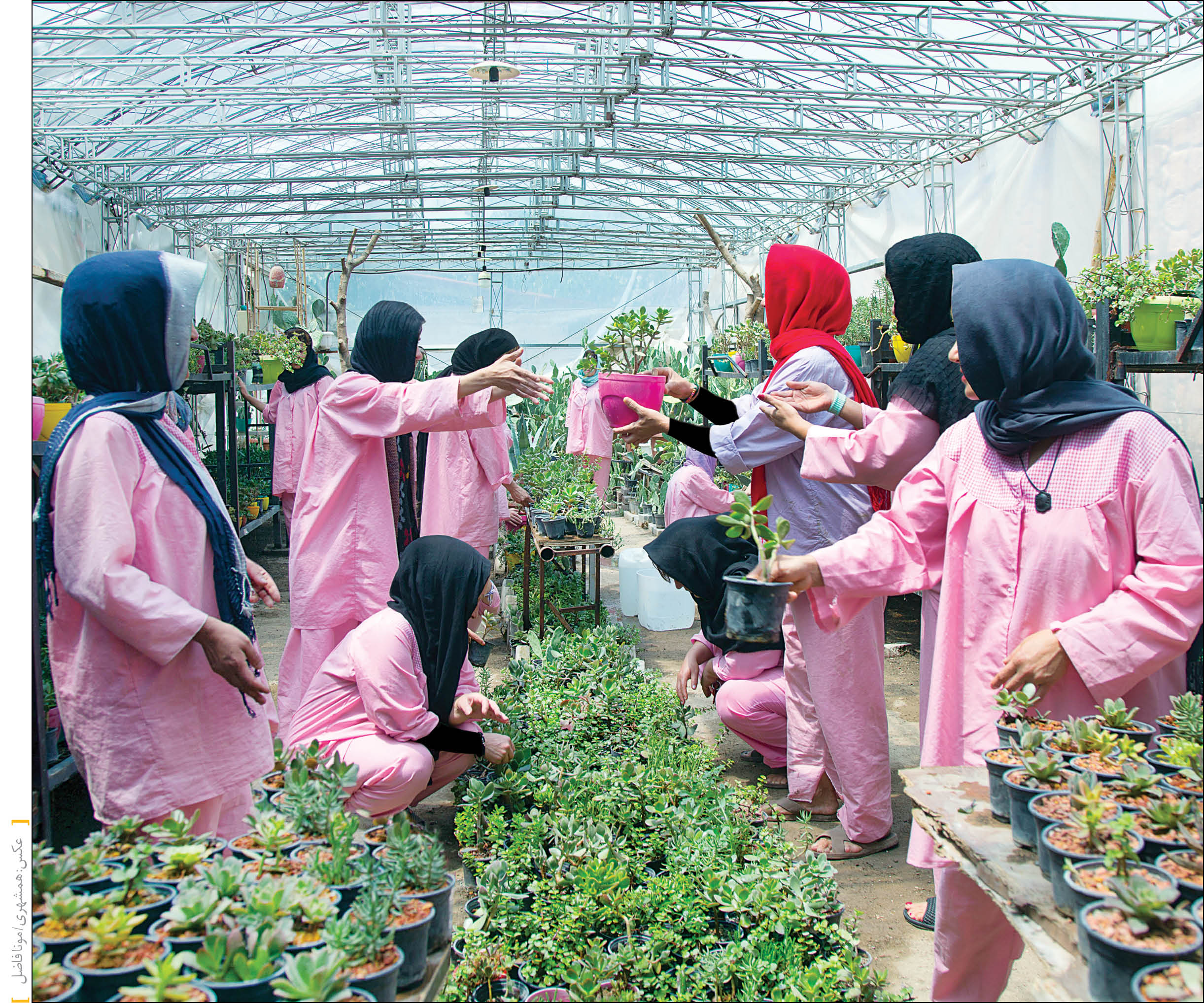 خانه پدری زیر پوست شهر