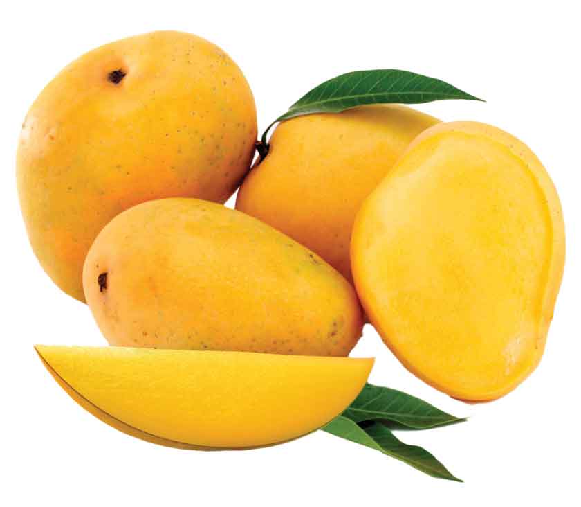 پادشاه زردپوش