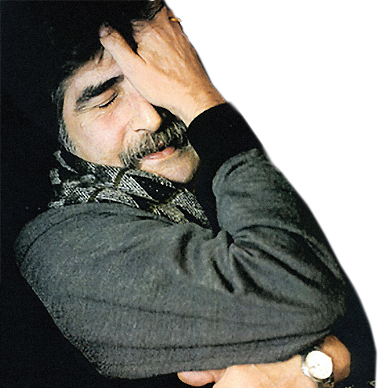 زیستن در نمایش