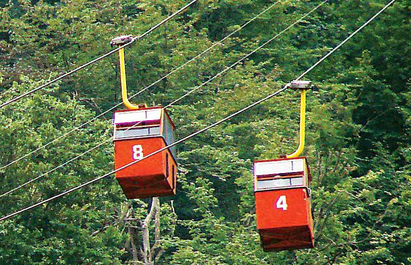 جدال بر سر اجرای پروژه گردشگری احداث تله‌کابین در جنگل هیرکانی ثبت جهانی شده ناهارخوران ادامه دارد