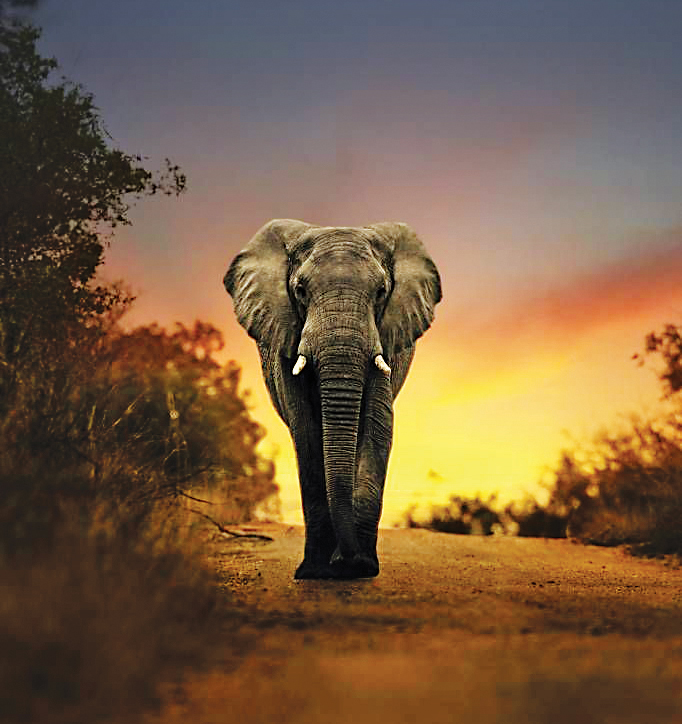 روز غول های بامزه