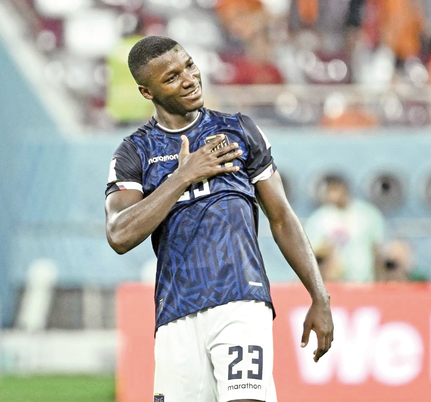 مرغان دریایی گران