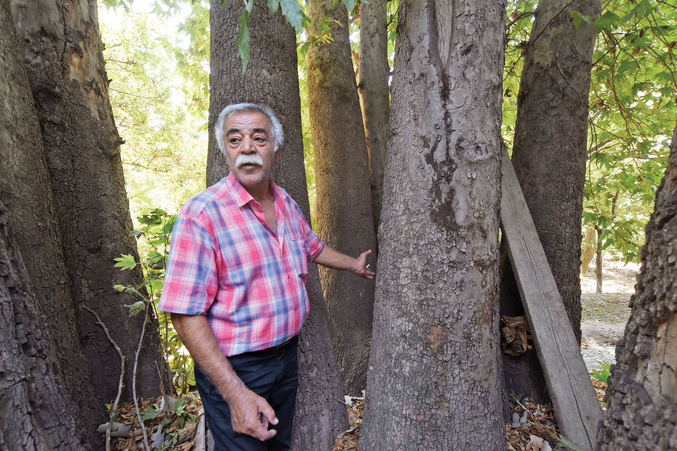 گزارشی از موزه سبز تهران و دیدار با شاهدان خاموش چند‌صدساله یک محله تاریخی