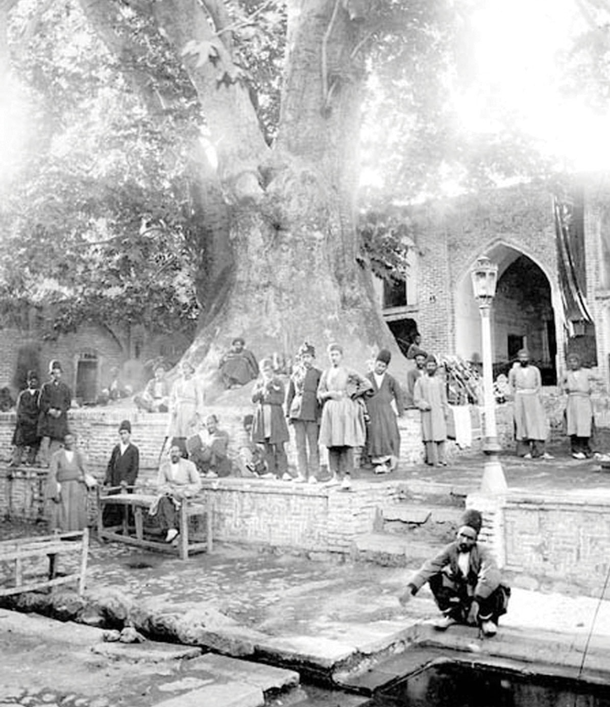 درختی که میزبان 2کاسب، بچه‌های مکتبخانه و زائران بود