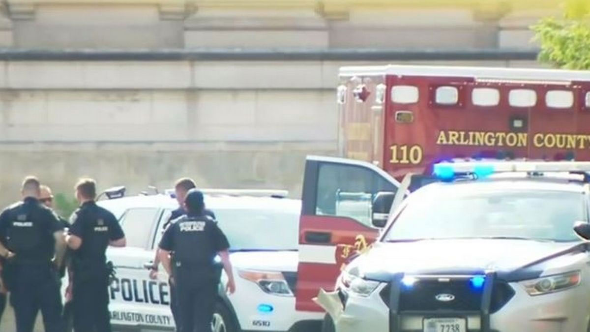 دستگیری دیوانه فراری