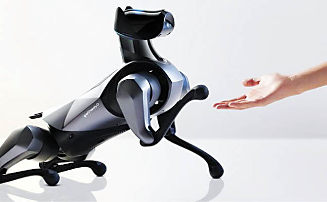 سگ‌های روباتیک؛ همراهان آینده انسان‌های تنها