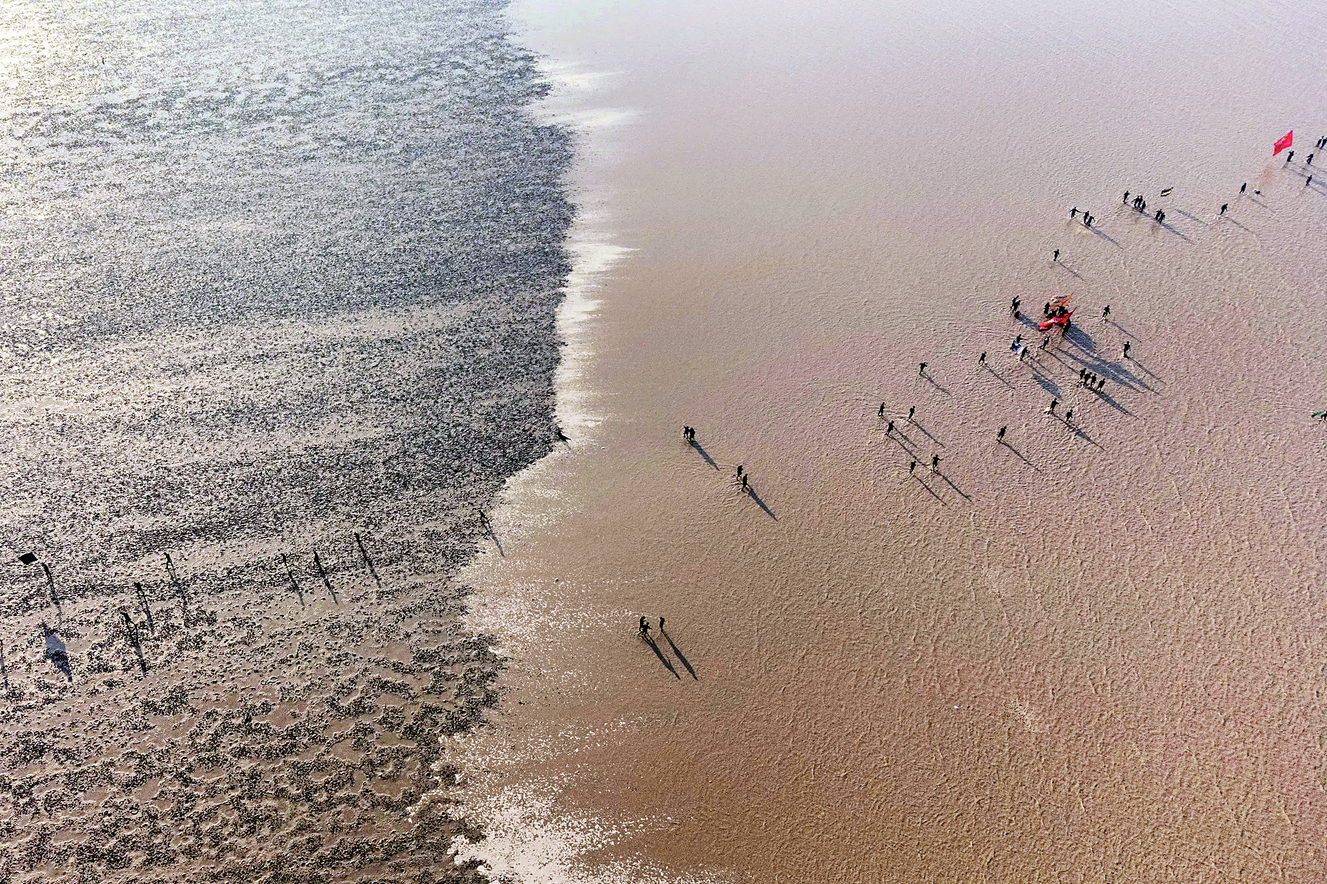 عکس منتخب گاردین از راهپیمایی اربعین