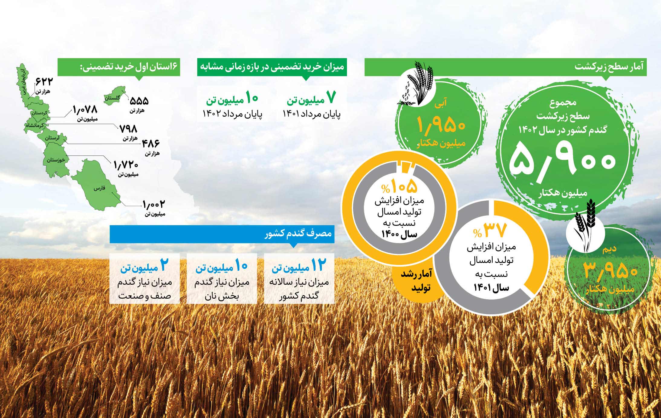 تولید گندم از پیش‌بینی‌ها فراتر رفت