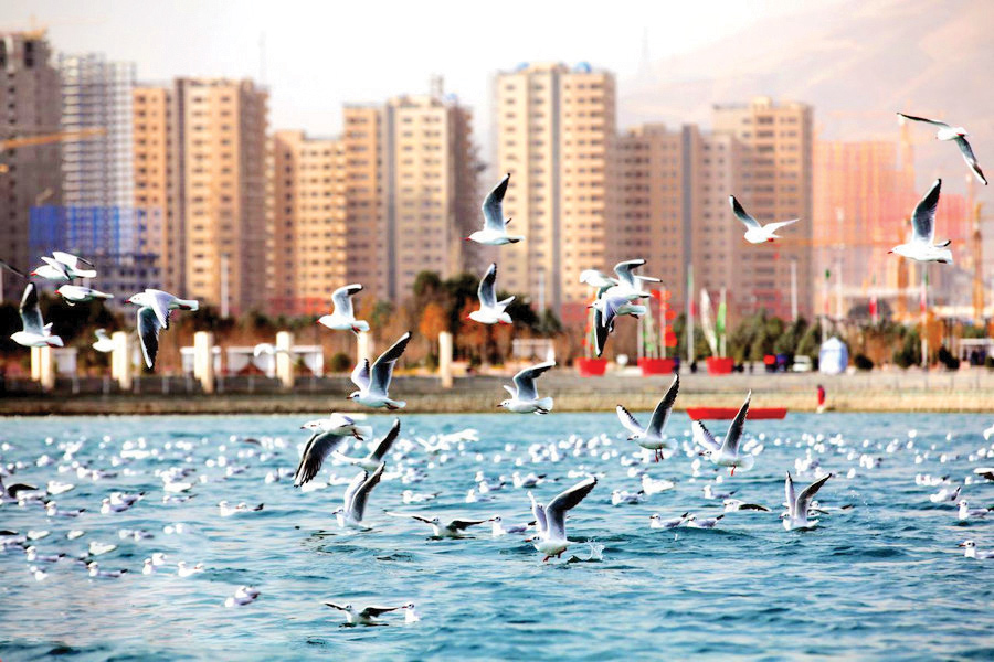 قایق‌سواری و ماهیگیری در پایتخت