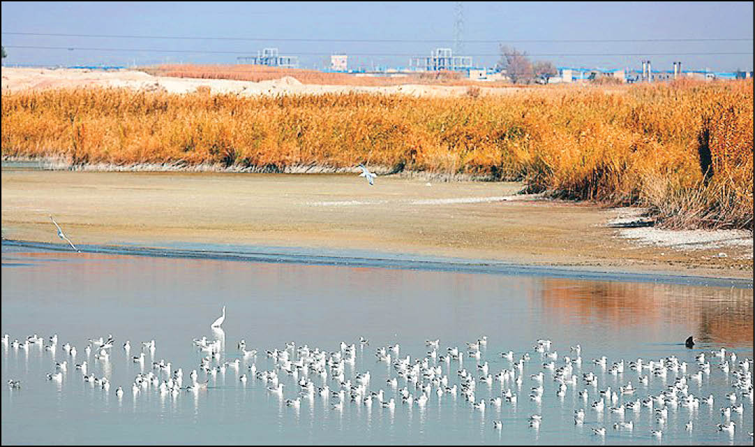 سیاحت در شورستان