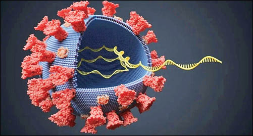 آماده باش برای سویه جدید کووید