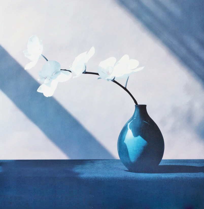 از فردا در شهر کتاب مرکزی سراغ بگیرید