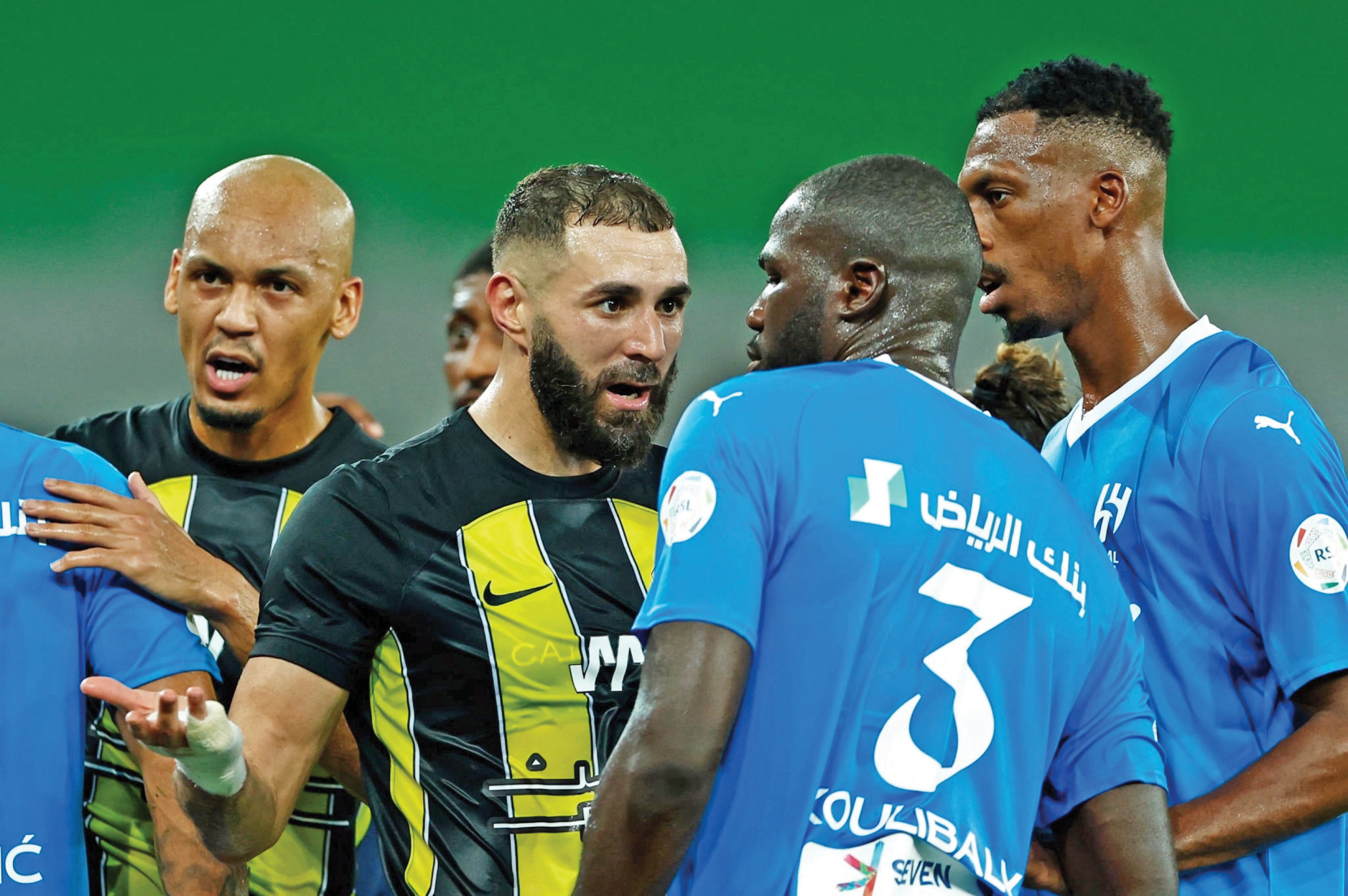 مرغ همسایه واقعا غاز است!