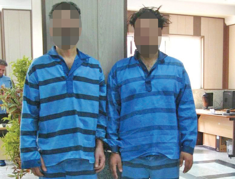 دایی و خواهرزاده ای که بازیگر بودند به خانه‌های بستگان خود دستبرد می‌زدند