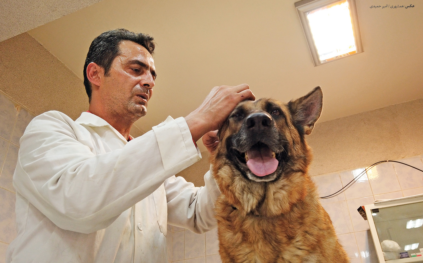 مربی سگ‌های تجسس در گفت‌وگو با سرنخ از ویژگی‌های آن سگ‌ها می‌گوید