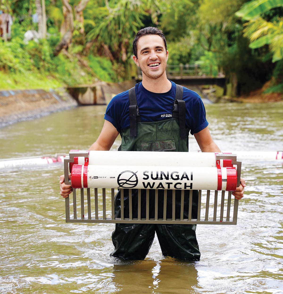 ماهی‌ها به خانه بازمی‌گردند