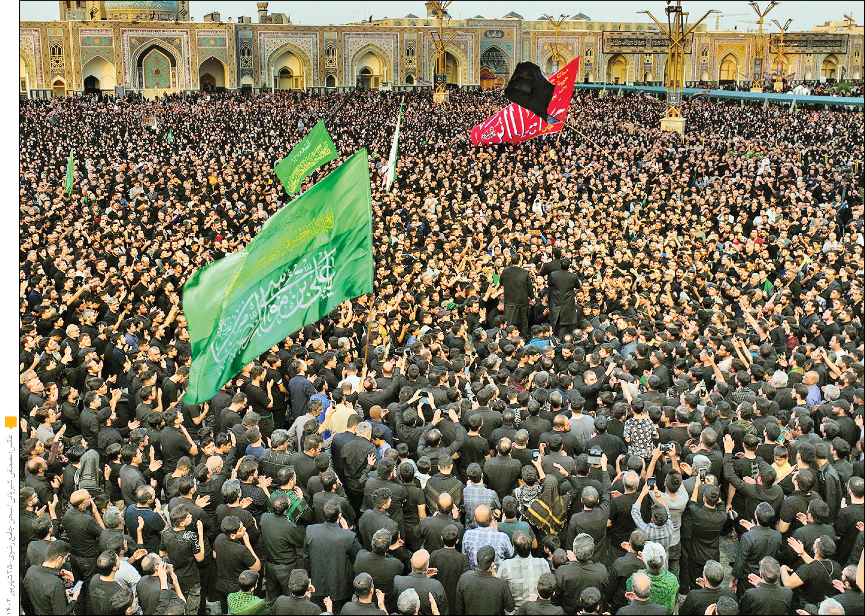 فراخوان سلطان