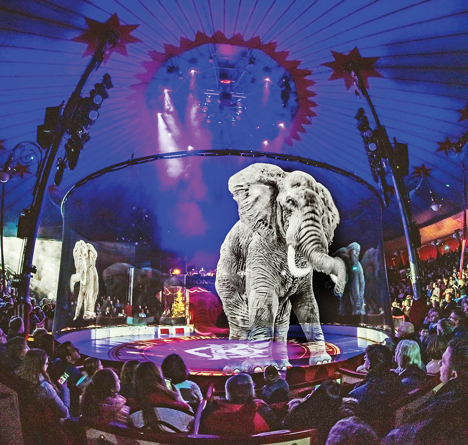 آن فیل کاغذی آمد