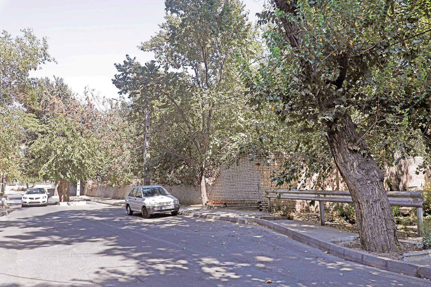 بزرگ‌ترین واقف خانم