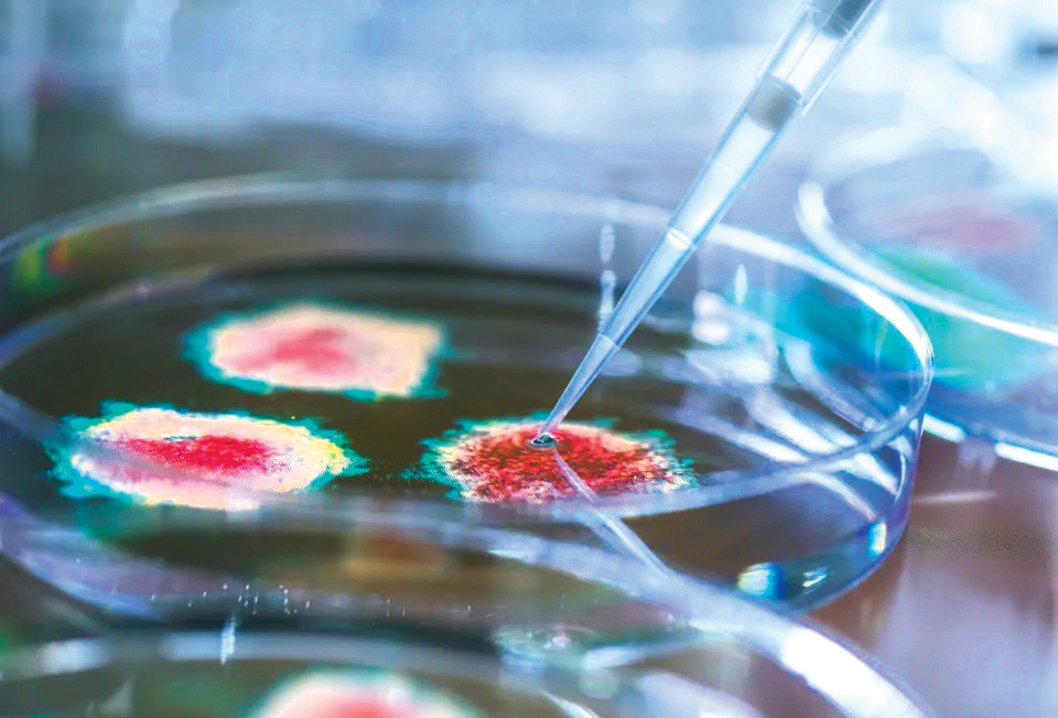 کشف یک ویروس جدید در عمق اقیانوس آرام