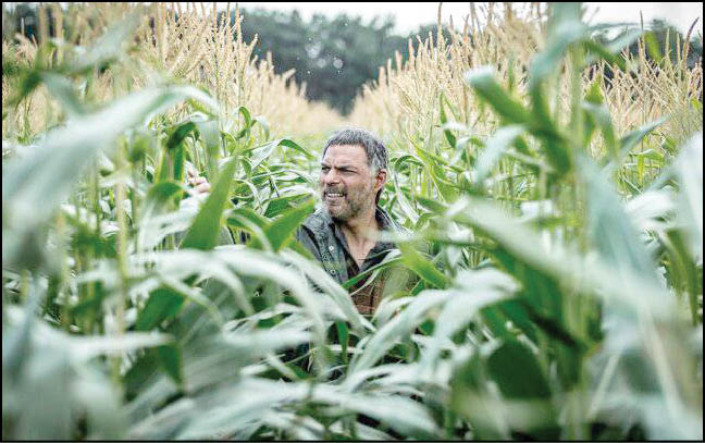 «بی‌سروصدا» با پیمان معادی