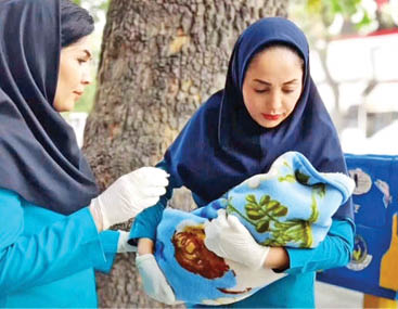 تولدیک نوزاد تبریزی‌ در خودرو