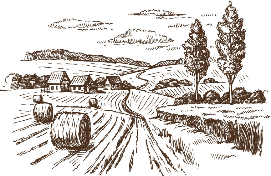 ایجاد 670هزار شغل برای روستاییان