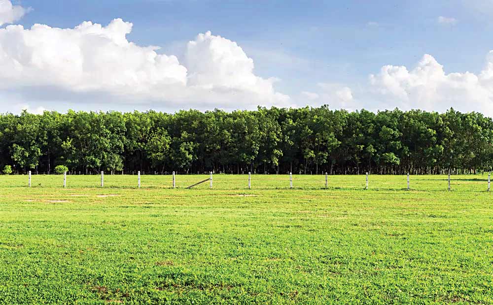 زمین یک یورویی در قلب فرانسه