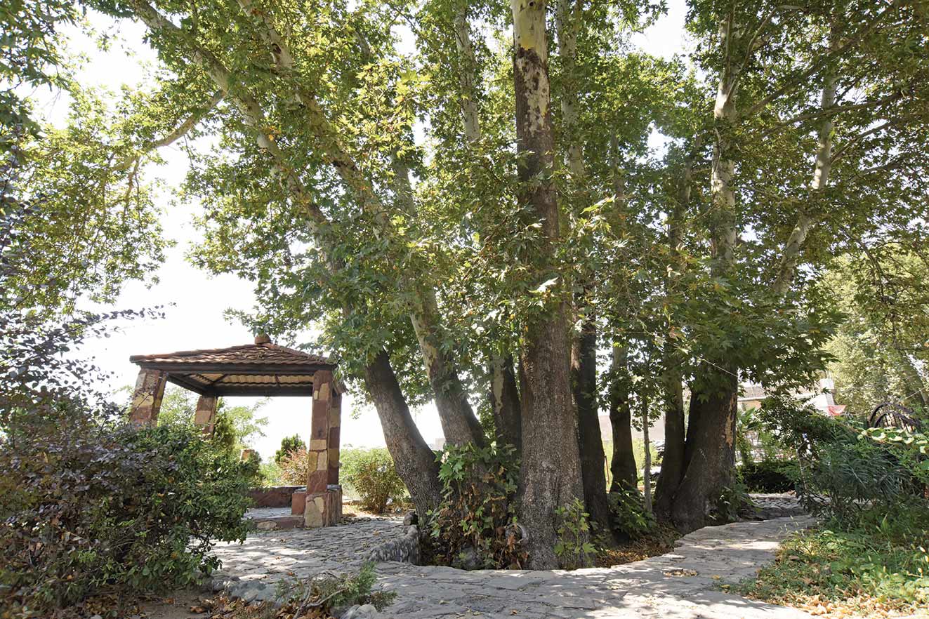 سکه‌های مدفون کن