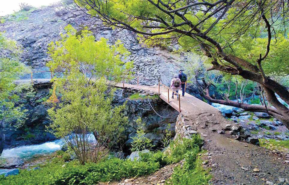 قدم زدن در مسیر درخت‌ها و صخره‌ها