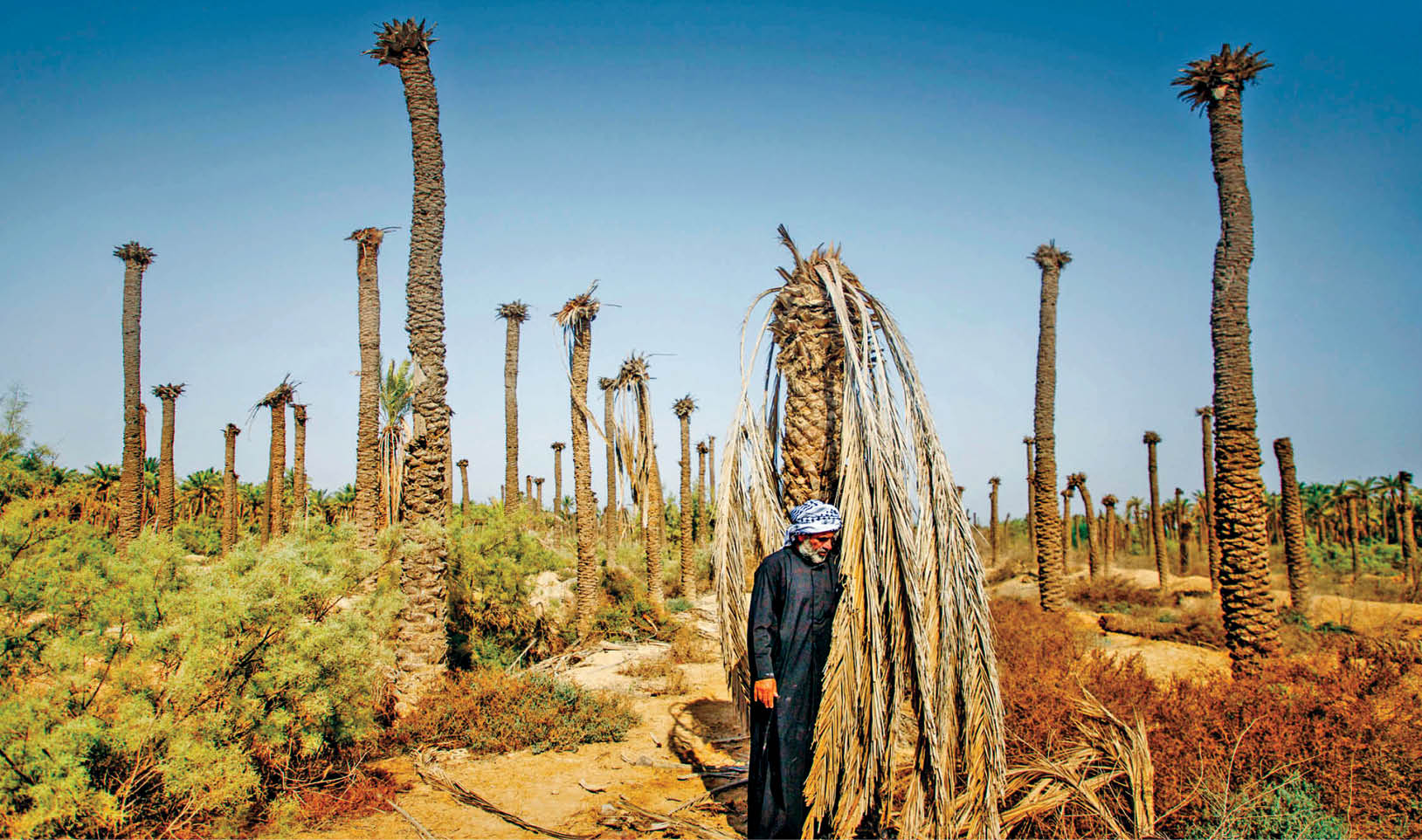 آماده‌باش سازگاری با تغییرات اقلیمی