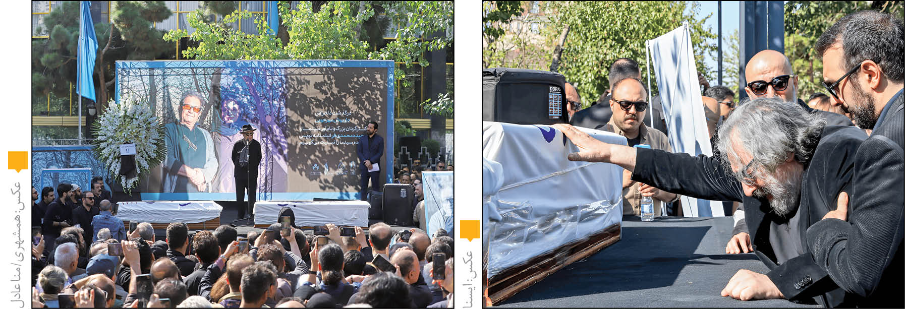 خداحافظی با داریوش مهرجویی