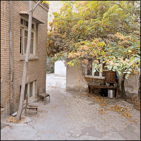 این قفس چون دلم تنگ و تار است