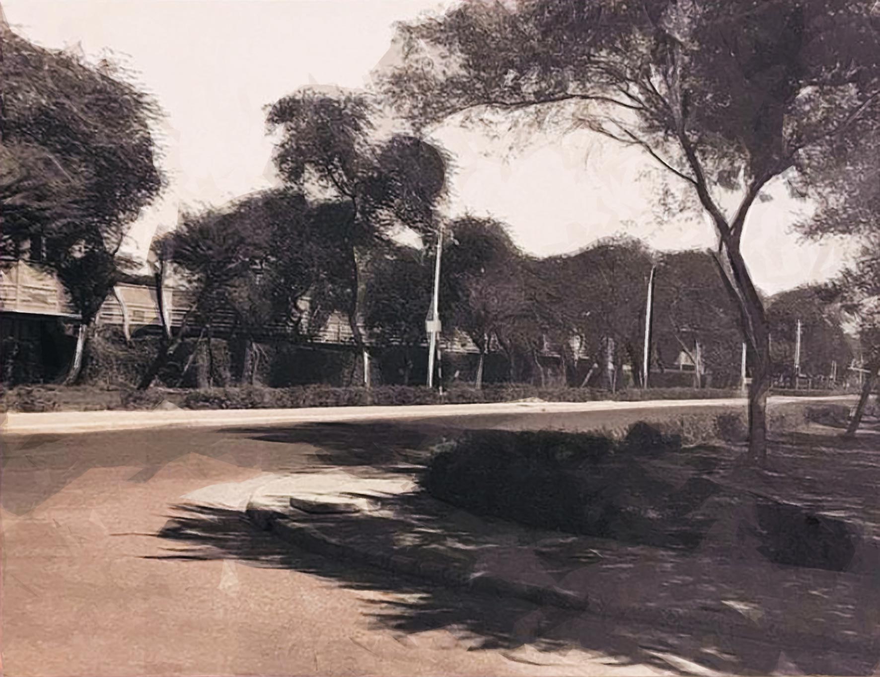 پناهگاه خانگی