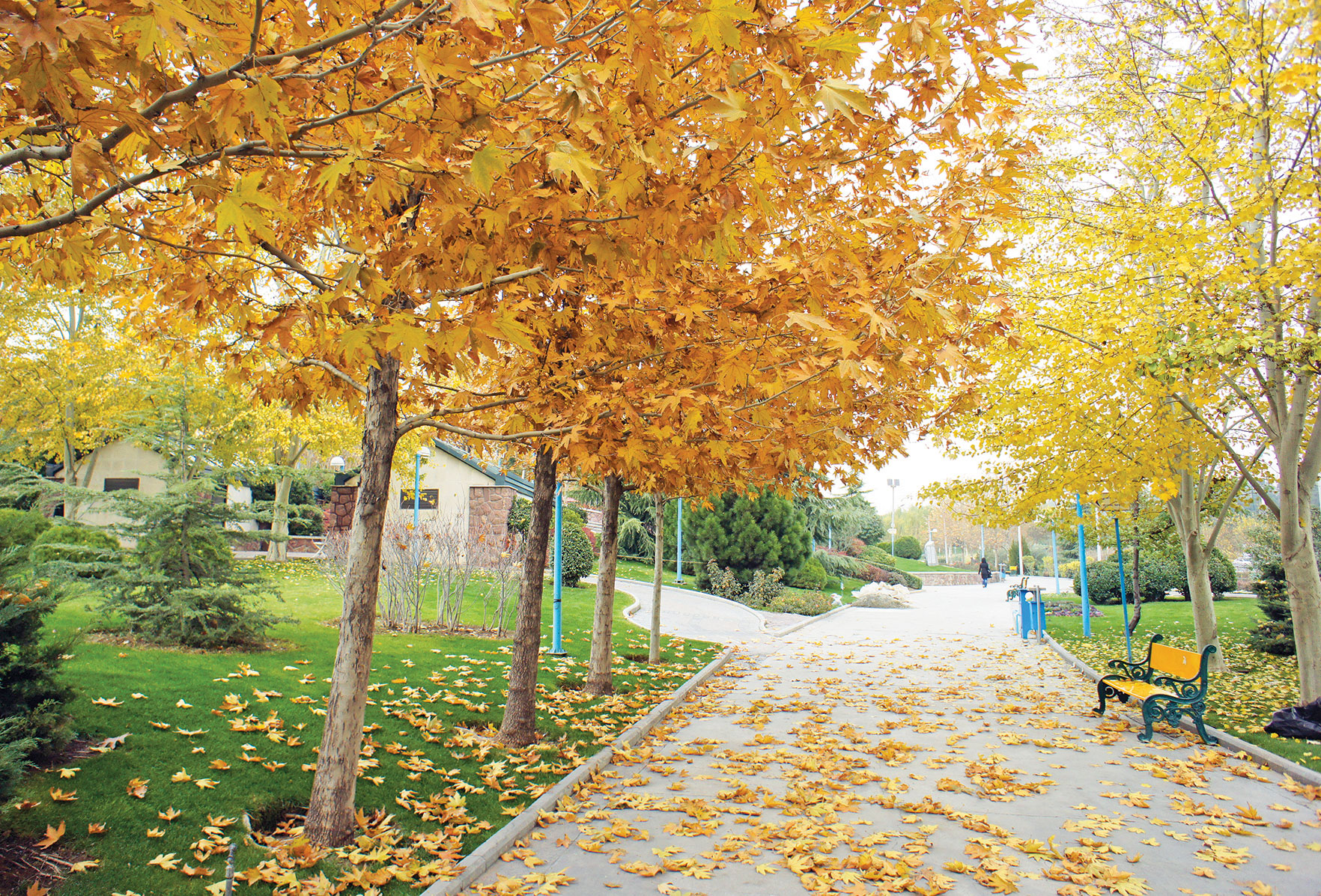 بوستان‌های تهران این روزها حسابی الوان شده‌اند
