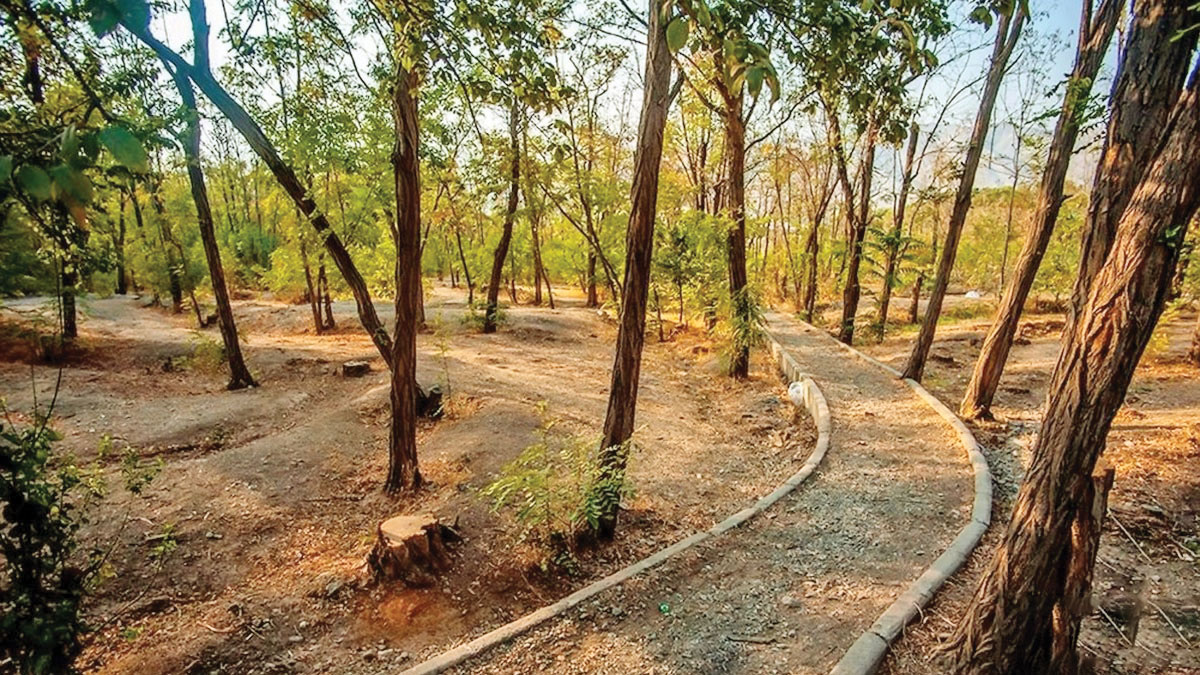 گشت و‌گذار در پارک‌های جنگلی شهر فرصت دلچسب و خنکی را برایتان مهیا می‌کند