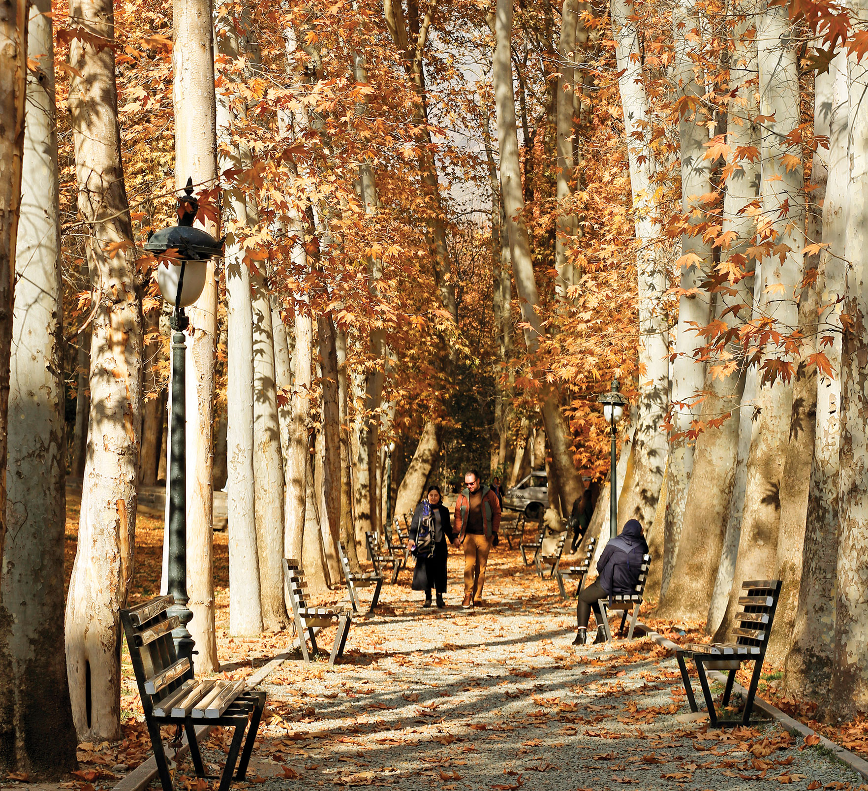 حال و هوای دلانگیز کوچهها و خیابانهای پایتخت در برگریزان