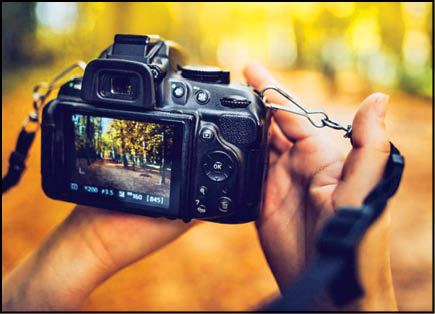 عقاب‌های ماندگار در پادشاه فصل‌ها