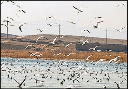 تالاب عشق‌آباد