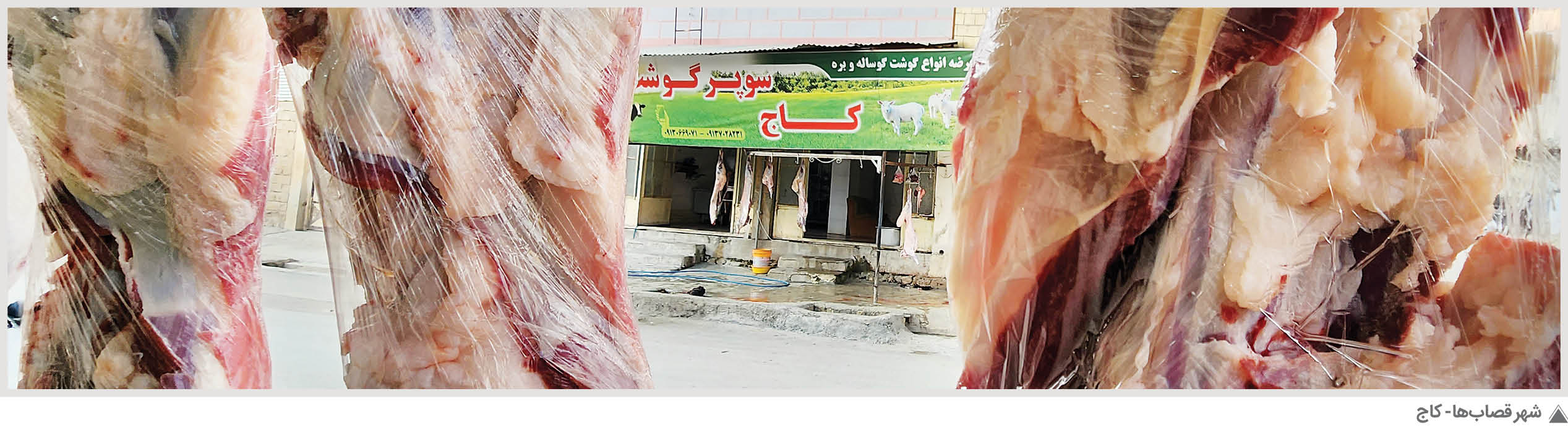 کباب را در شهر قصاب‌ها بخورید