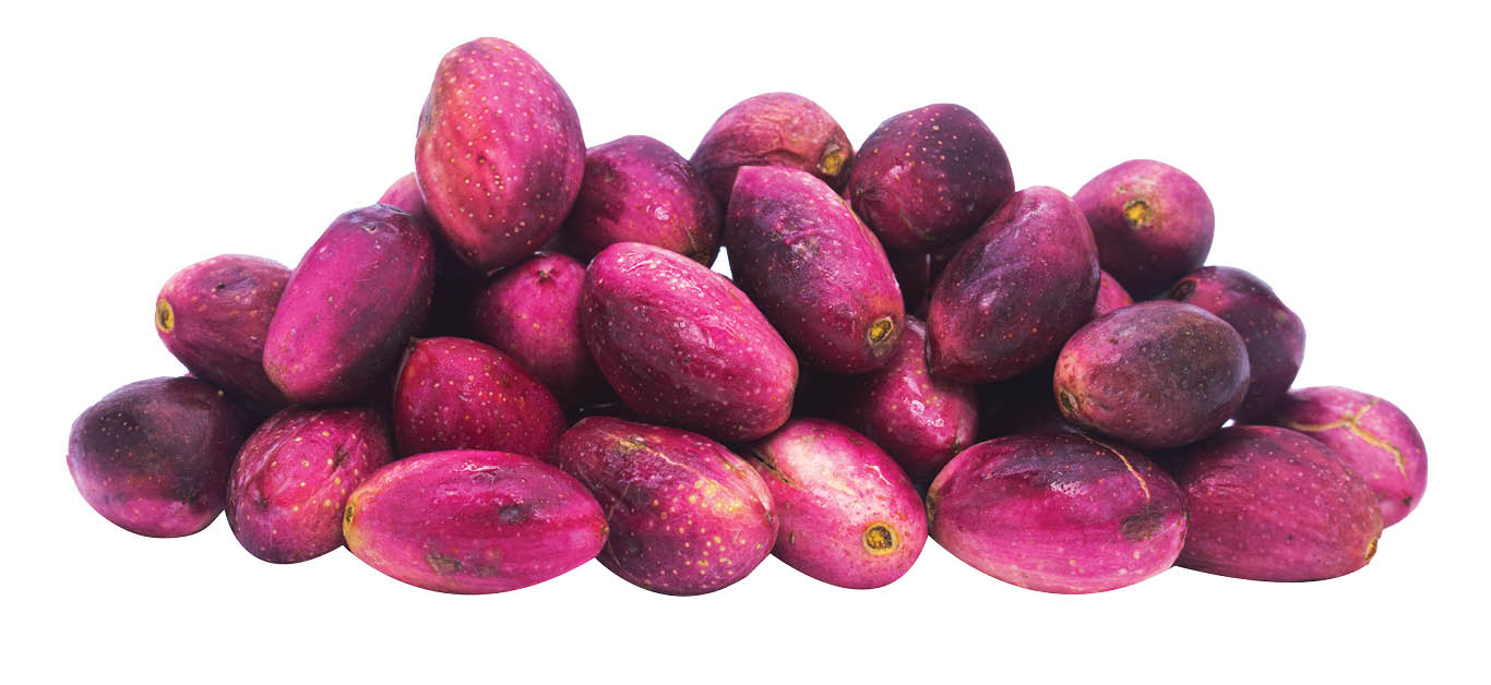 پسته ارزان می‌شود؟