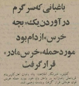 باغبان، هنگام نجات توله خرس هدف حمله قرار گرفت