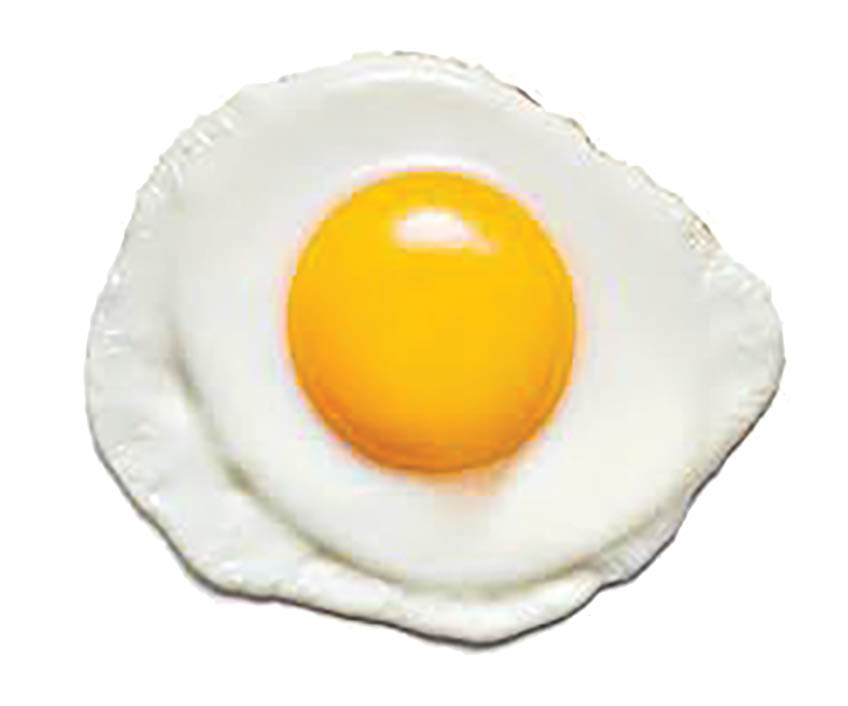 تخم‌مرغ آب‌پز بهتر است یا املت‌؟